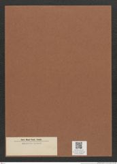 Diatomeae indet. Zeichnungen Sammlung Grunow Mappe 02899 (Herbarium_W_Grunow_drawings_Folder_02899)
